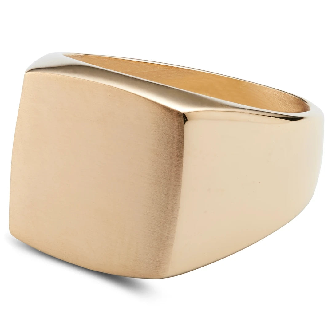 Stainless Steel Signet Ring - ViViGleam